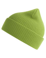 Atlantis Headwear NELSON Sustainable Cuffed Beanie #color_Leaf Green