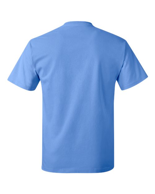 Hanes 5250T Men's Authentic-T T-Shirt #color_CAROLINA BLUE