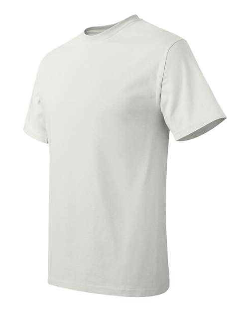 Hanes 5250T Men's Authentic-T T-Shirt #color_WHITE