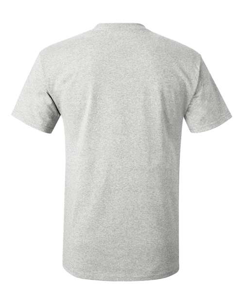 Hanes 5250T Men's Authentic-T T-Shirt #color_ASH
