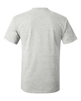 Hanes 5250T Men's Authentic-T T-Shirt #color_ASH