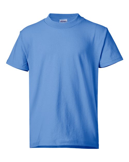 Hanes 5370 Youth 50/50 T-Shirt #color_CAROLINA BLUE