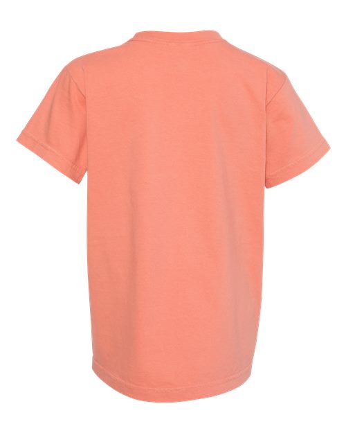 Comfort Colors C9018 Youth Midweight T-Shirt #color_TERRACOTA